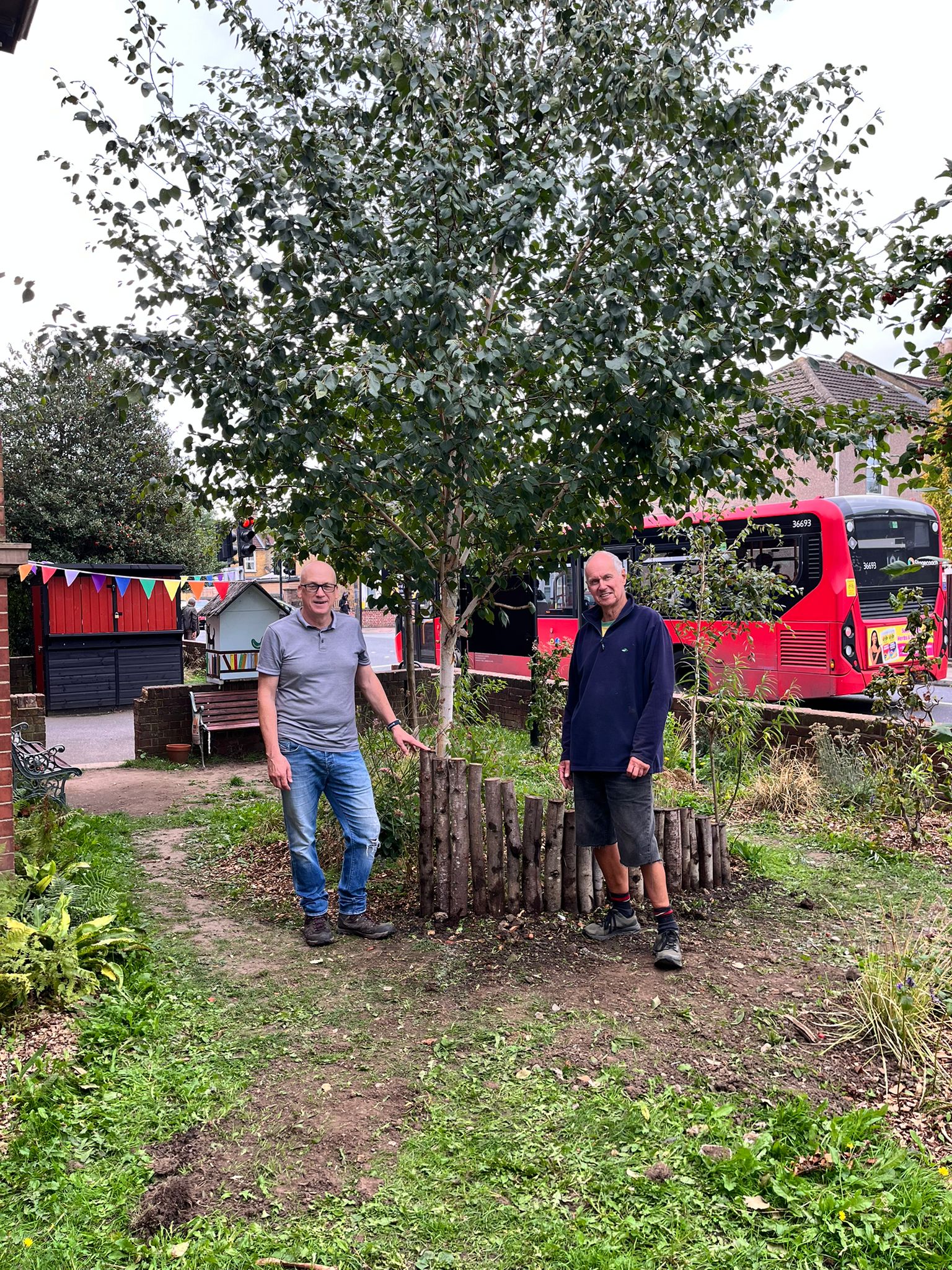 Two men standing beside newly planted tree with wooden fence protection in community garden with red bus background