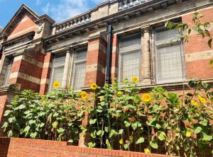 Corbett Community Library August newsletter